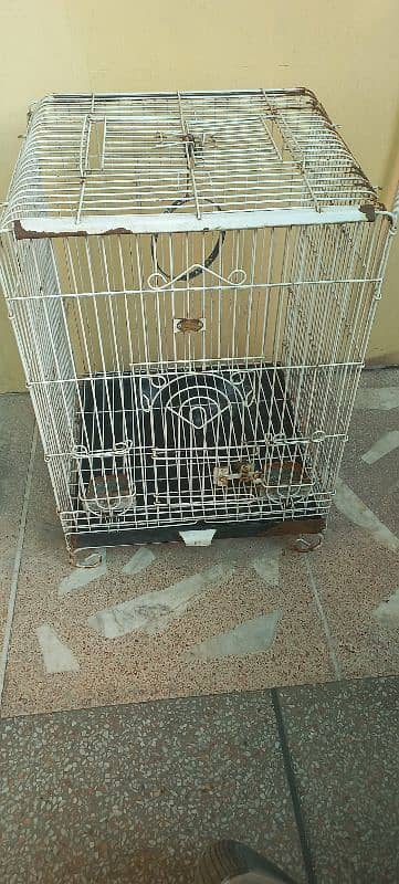 b. c branded company bird cage for sale urgent 5