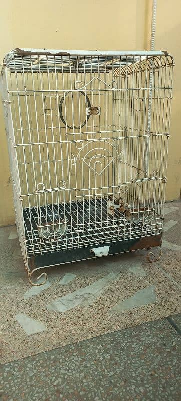 b. c branded company bird cage for sale urgent 6