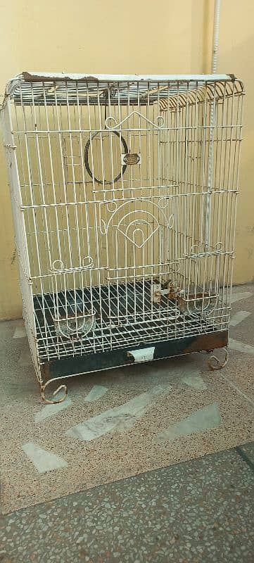 b. c branded company bird cage for sale urgent 7