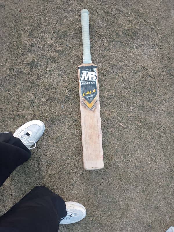 cricket bat 0