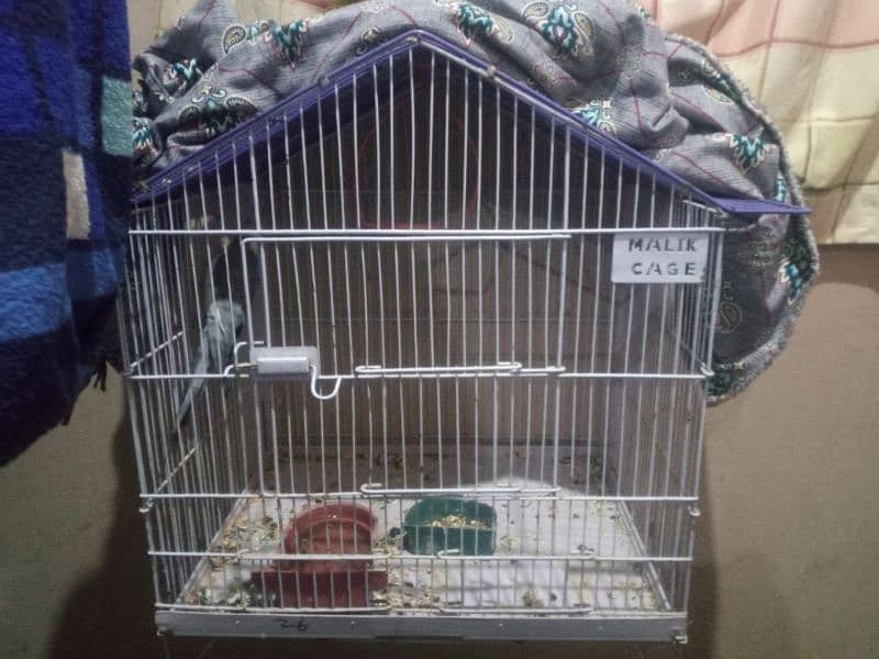 PARROTS WITH CAGE 2