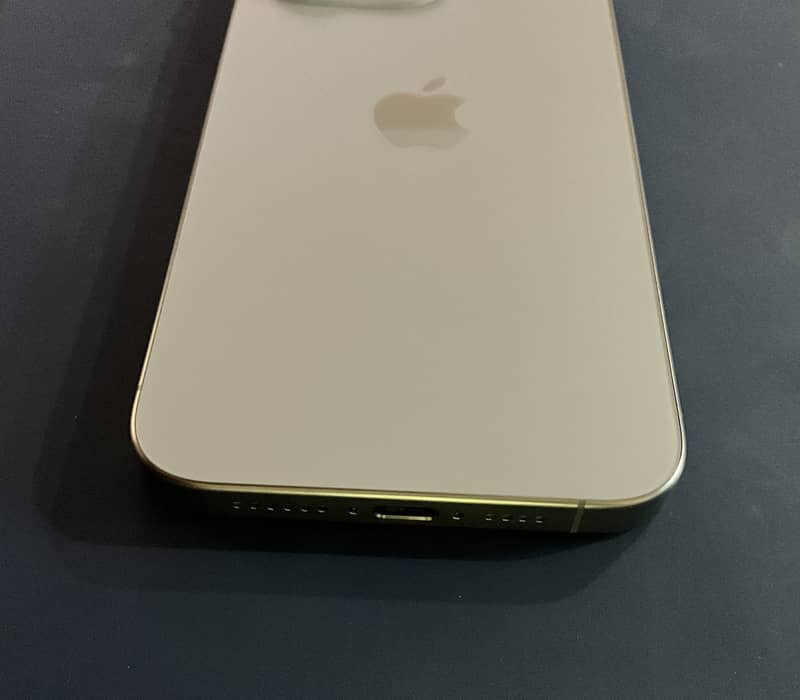 Apple iPhone 15 Pro Max 1