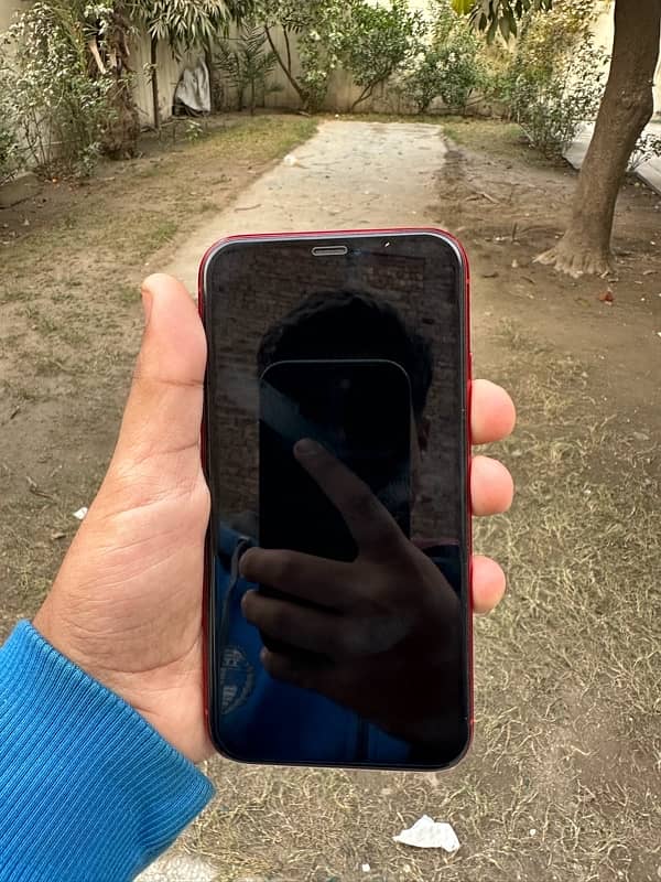 iphone xr 128 8