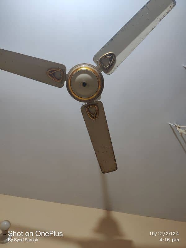 4 Ceiling Fans SK and Royal 1