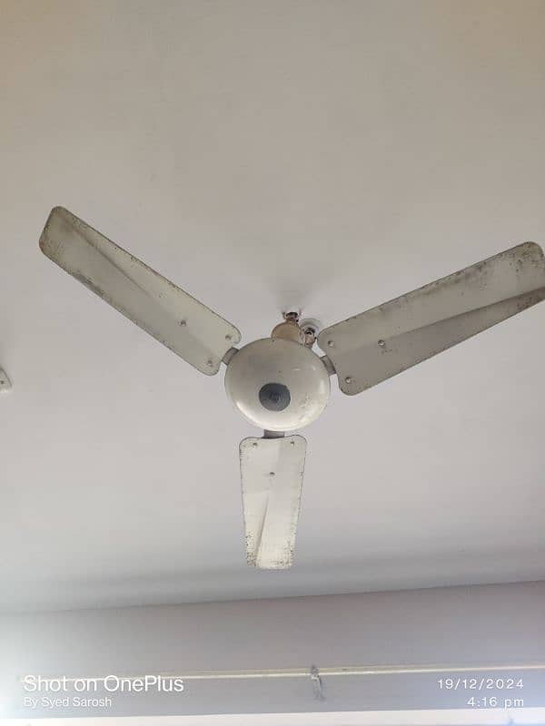 4 Ceiling Fans SK and Royal 3