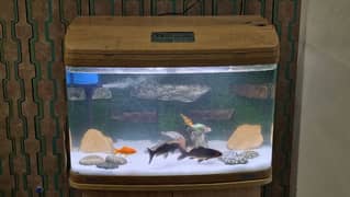 Imported Jebo Fish Aquarium