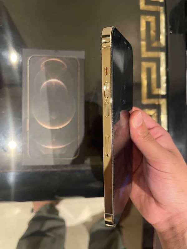 IPHONE 12 PRO MAX GOLD 256 GB PTA APPROVED 5