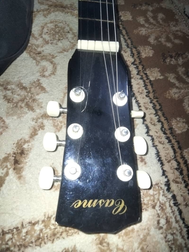 Standard Size Guitar 1