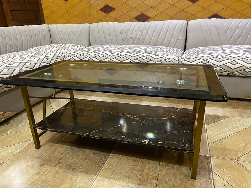 L shaped 8 seater sofa with center table 13