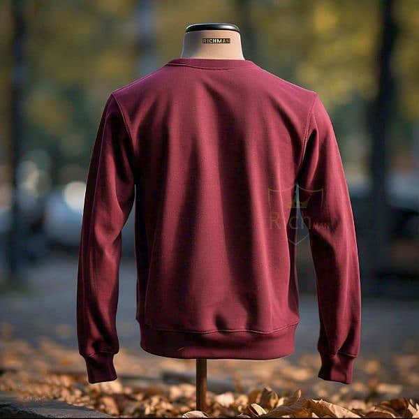 men plain polestar fleece full sleave sweat shirt 1pc 1