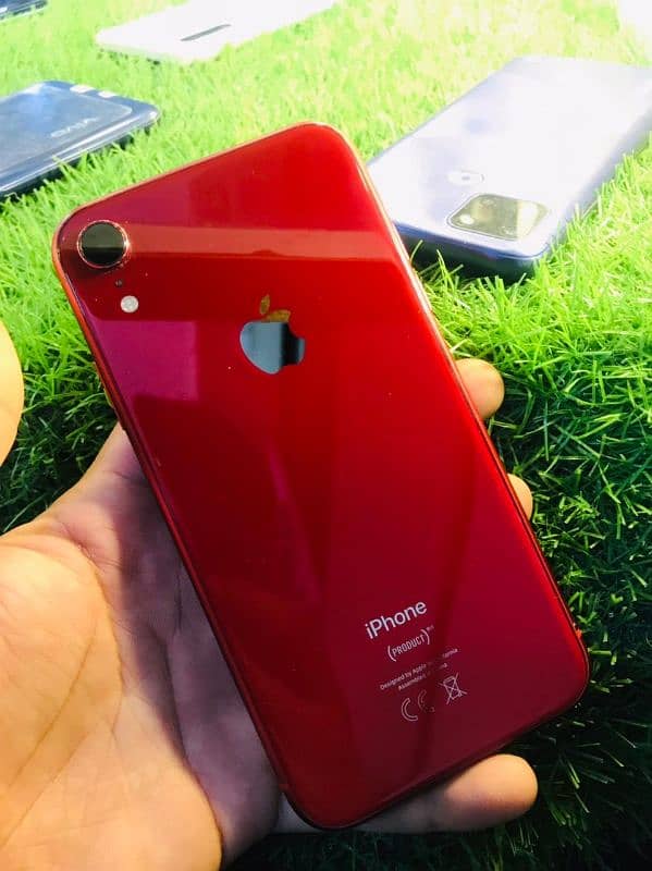 iphone XR 2