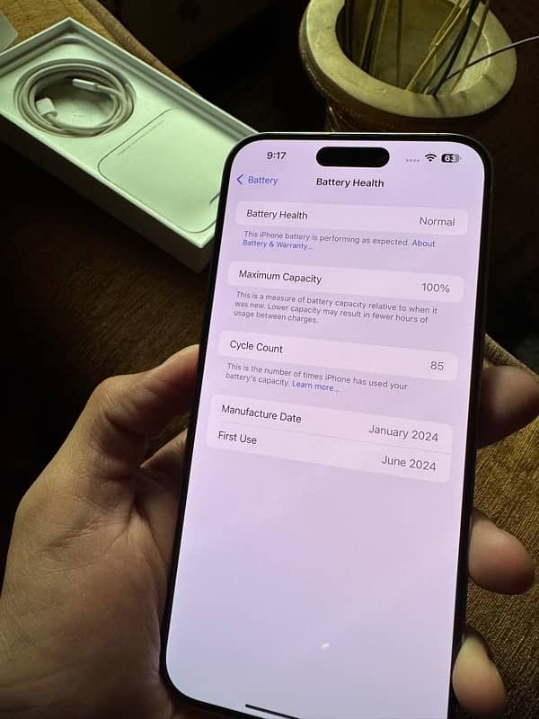 iPhone 15 Pro Max 100 health 4