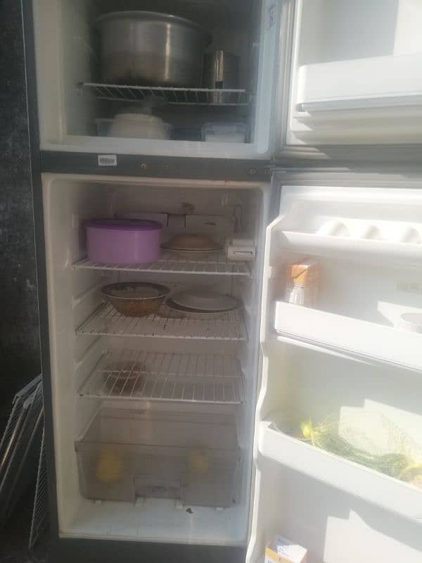 Fridge 1