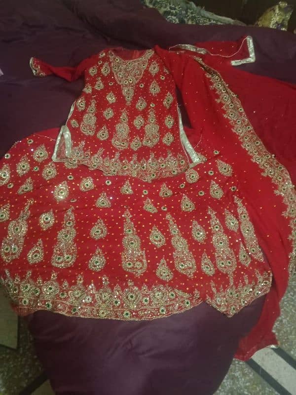 Lehnga 1