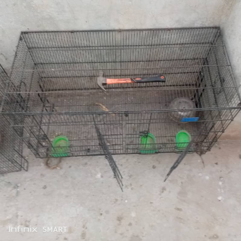 Parrot hen cage 0