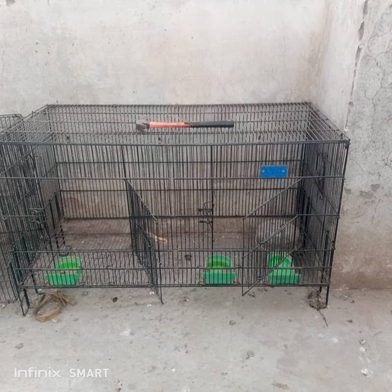 Parrot hen cage 3