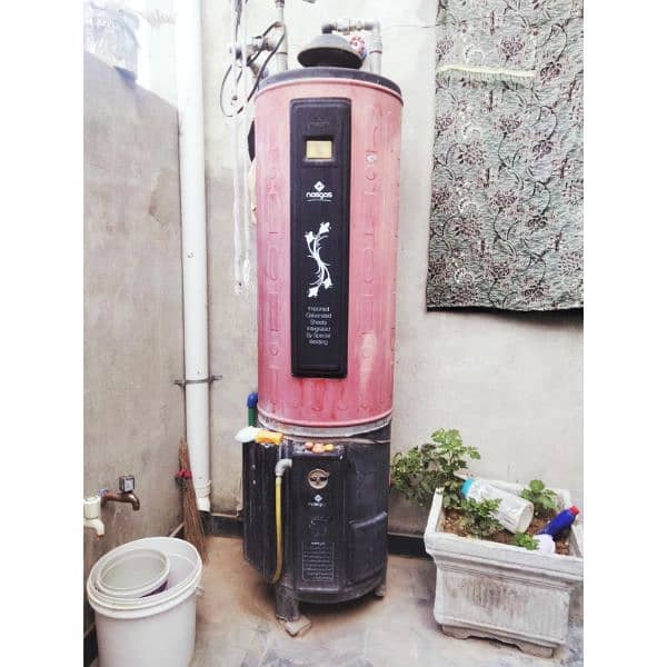 Nasgas dual gas electric water geyser 3