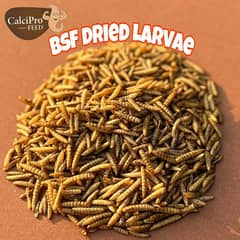 bsf dry larvae *bsfl*. Black soldier fly