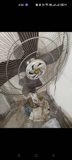 fan