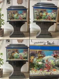 New Aquarium with wooden stand for sale