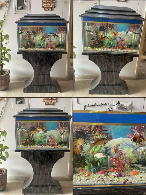 New Aquarium with wooden stand for sale 0