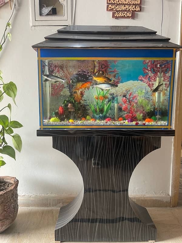 New Aquarium with wooden stand for sale 1