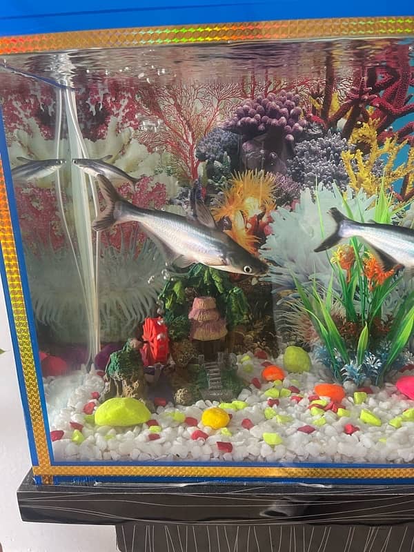 New Aquarium with wooden stand for sale 4