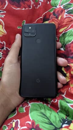 google Pixel 4a 5g panel Dead