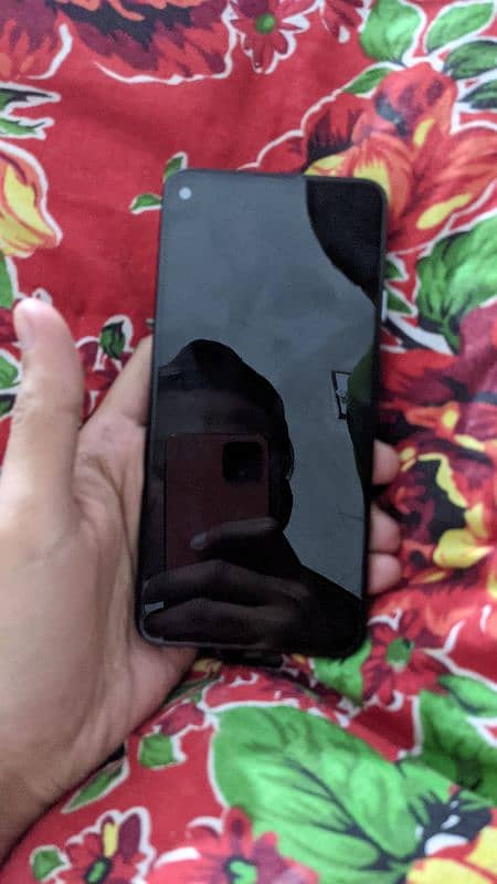 google Pixel 4a 5g panel Dead 1