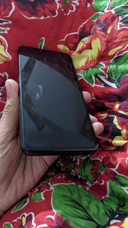 google Pixel 4a 5g panel Dead 2