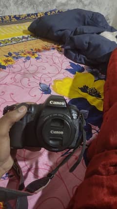 Canon 6D full frame with 50mm 1.8 lens