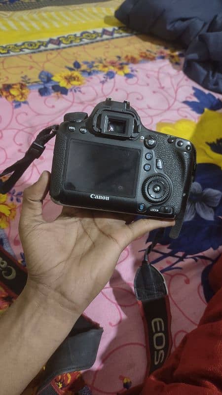 Canon 6D full frame with 50mm 1.8 lens 1