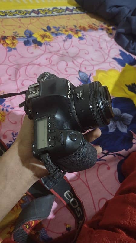 Canon 6D full frame with 50mm 1.8 lens 2