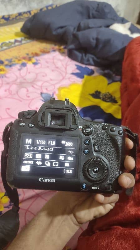 Canon 6D full frame with 50mm 1.8 lens 3