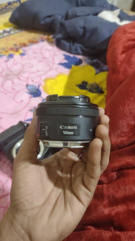 Canon 6D full frame with 50mm 1.8 lens 5