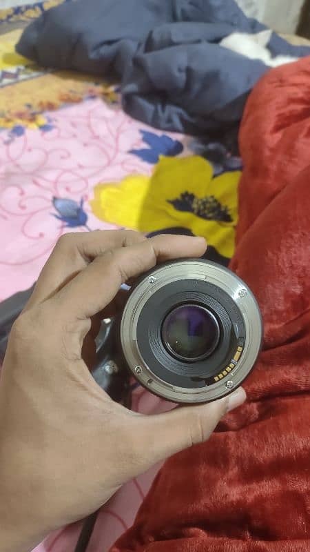 Canon 6D full frame with 50mm 1.8 lens 6