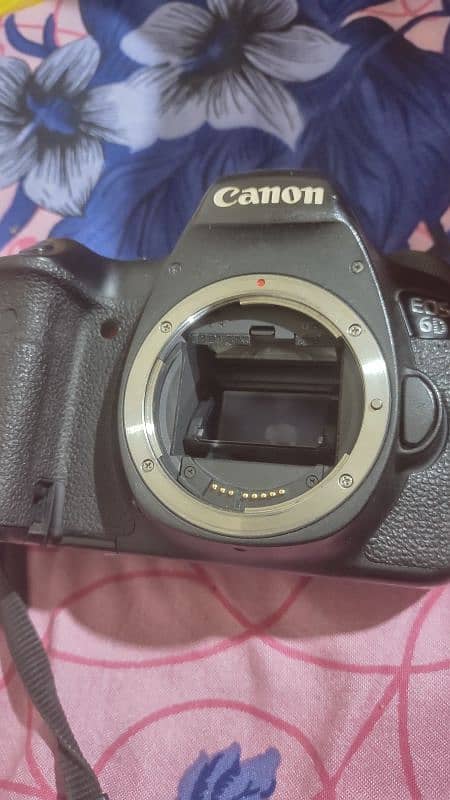 Canon 6D full frame with 50mm 1.8 lens 7