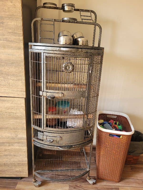 Grey Parrot cage 0