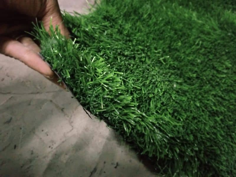 grass capet 1