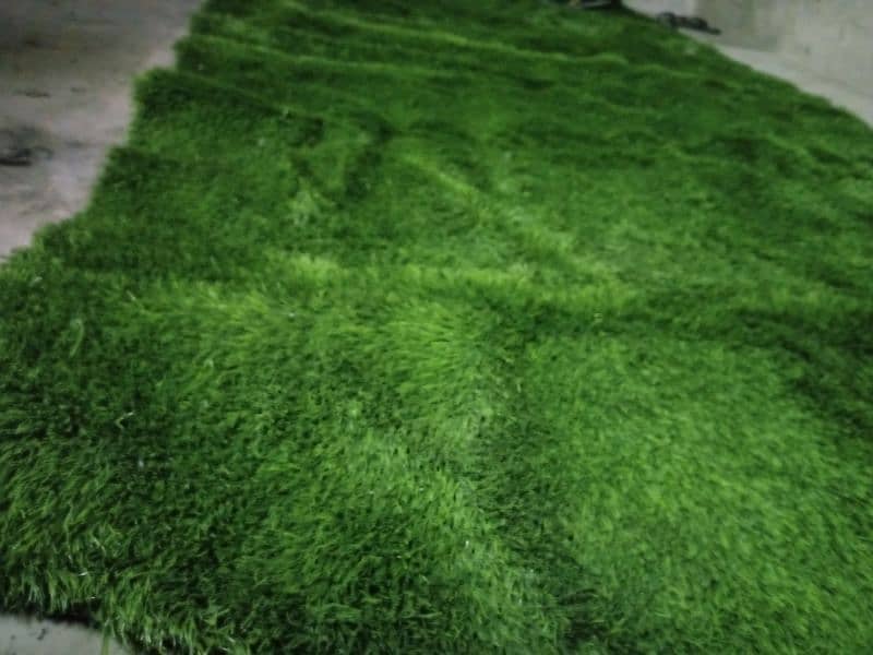 grass capet 2