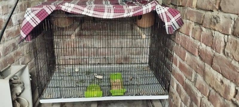 folding cage for sale size 3*2 only 3 months use howa h like a new 0