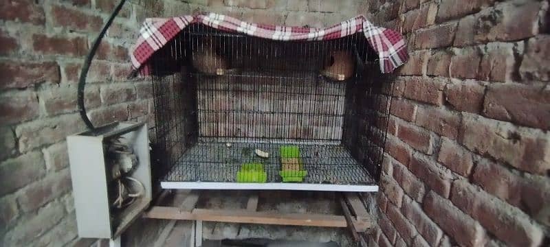 folding cage for sale size 3*2 only 3 months use howa h like a new 1