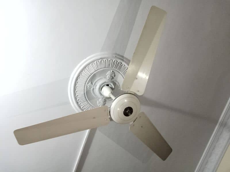 Pak Fan Ceiling Fans 1