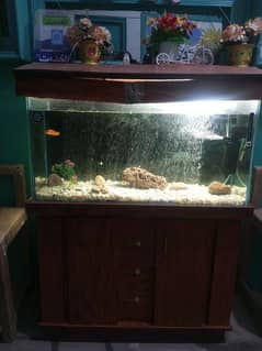 3ft Aquarium with stand