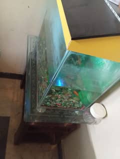 Fish Aquarium with Trolley