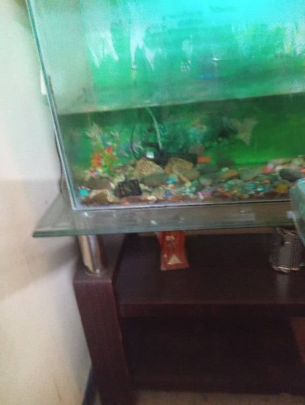 Fish Aquarium with Trolley 1