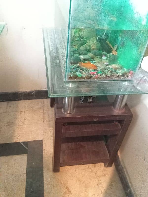 Fish Aquarium with Trolley 2