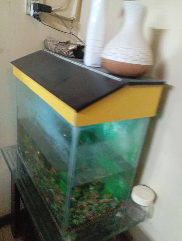 Fish Aquarium with Trolley 3