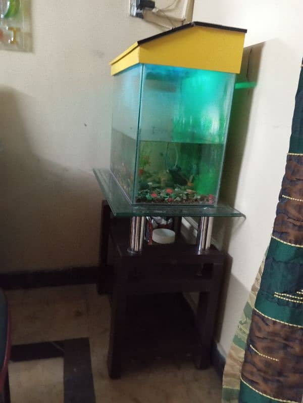 Fish Aquarium with Trolley 7