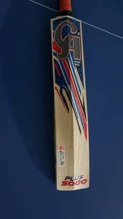 cricket hard ball bat for sale